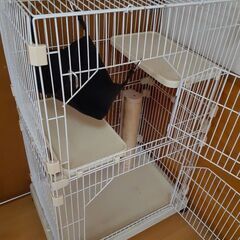 ペットケージ(猫向け)の画像