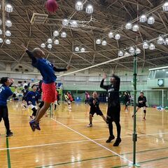 【ソフトバレーボール】メンバー募集 - スポーツ