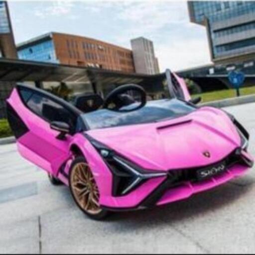 LAMBORGHINI SIAN電動乗用玩具　金額相談のります