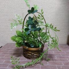 厚木方面🆗フラワーバスケット