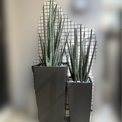 フェイクグリーン2個の画像