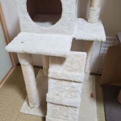 中古キャットタワーの画像