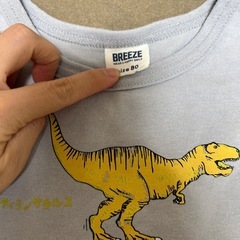 【値下げ！】BREEZE恐竜🦖上下セットの画像