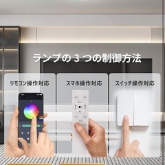Coizabera LEDシーリングライト 6畳 3600lm 間接光付き 常夜灯 おしゃれな天井照明 φ30cm 調光・調色機能 極薄デザイン 日光モード搭載 雰囲気を演出するナイトライト 電気蛍光灯 リモコン操作対応 6~8畳用 寝室/リビング/キッチンに適用 黒枠の画像