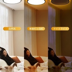 Coizabera LEDシーリングライト 6畳 3600lm 間接光付き 常夜灯 おしゃれな天井照明 φ30cm 調光・調色機能 極薄デザイン 日光モード搭載 雰囲気を演出するナイトライト 電気蛍光灯 リモコン操作対応 6~8畳用 寝室/リビング/キッチンに適用 黒枠の画像