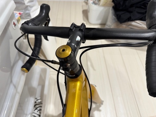 グストロードバイクフレーム