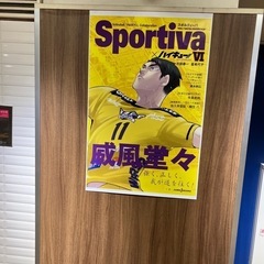 バレーボールメンバー募集中！（あと数名）
