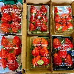 全国各地の美味しい苺🍓¥500〜他の果物・野菜在庫お知らせします😊
