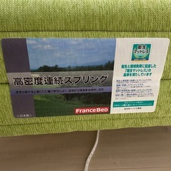 フランスベッド　マットレスベッド　グリーン　オシャレ　の画像