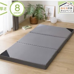 ニトリ製 折りたたみ敷布団
