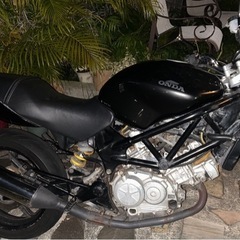 vtr250