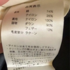 ピレネックス　ダウンの画像