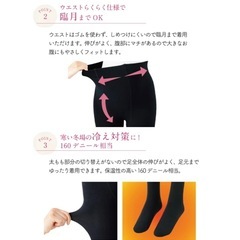 犬印マタニティタイツ　L-LL　2本セットの画像