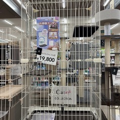 猫用ケージ　２段ケージの画像