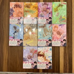 どうせもう逃げられない　10巻全巻セット　一井かずみの画像