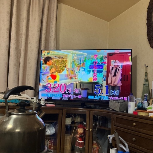 超大型Panasonicポータブルテレビ55V