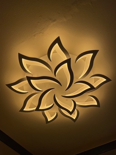 シーリングライト【美品】