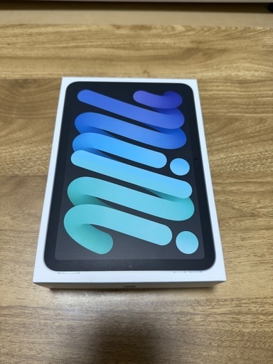 Apple iPad mini A17 Pro  スペースグレイ128GB セルラーモデル