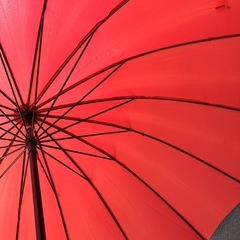 【お話中】傘の画像