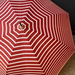 【あげます】傘の画像