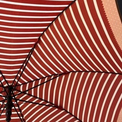 【あげます】傘の画像