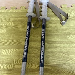 BLUE IMPULSE スキー ストック & DYNASTAR...
