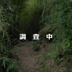 №G497【兵庫県宝塚市切畑字南宝山裏】山林1筆あげます！