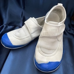 上靴　パワーシューズ　19.5cmの画像