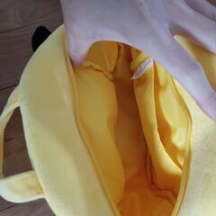 ピカチュウ＆イーヴィ手提げバッグの画像