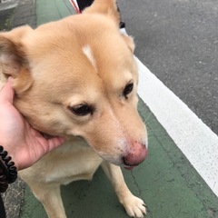 甘えん坊の元気な女の子です★