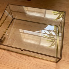 【値下げ】真鍮ガラスケース アクセサリーケース 2000円→1600円