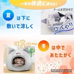 ペットハウス　キャットハウス　ドッグハウスの画像