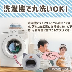 ペットハウス　キャットハウス　ドッグハウスの画像