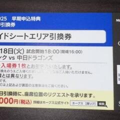 本日！3月18日 オープン戦 ペアチケット