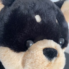 新品未使用  しば犬  ぬいぐるみの画像