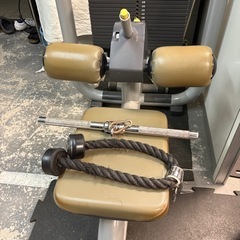 テクノジム　ラットプルマシン　中古　
の画像