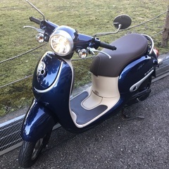 ホンダ　ジョルノ50　低走行車　1000k   ワンオーナー車　...