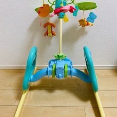 極美品 プーメリーの画像
