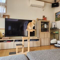 ねこの階段　手作り　の画像