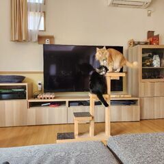 ねこの階段　手作り　の画像