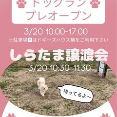 しらたまの譲渡会
