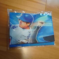 大谷翔平／タペストリー／インテリア／新品
の画像