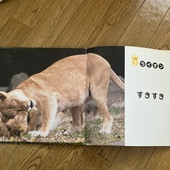 どうぶつ絵本の画像