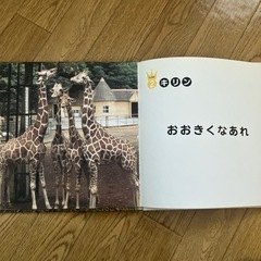 どうぶつ絵本の画像