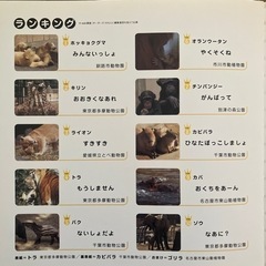 どうぶつ絵本の画像