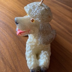  決まりました　
プードルのキャンドルの画像