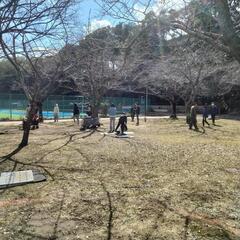 千葉県八千代市 スラックライン予定 2025/3/20