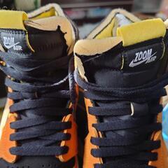 エアジョーダン1ZOOMの画像