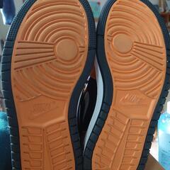 エアジョーダン1ZOOMの画像