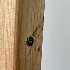 ◆2×4  木　の画像